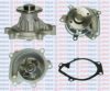 AQUAPLUS 85-5895 Water Pump